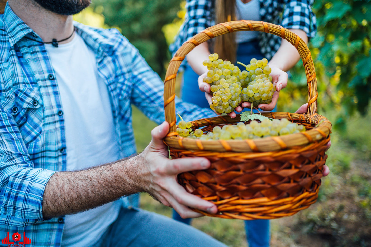 Niš i Kuršumlijska banja. Gastronomsko-kulturno putovanje