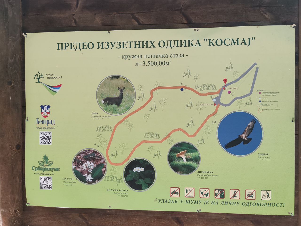 Kosmaj. Trekking with a Tour and Craft Beer