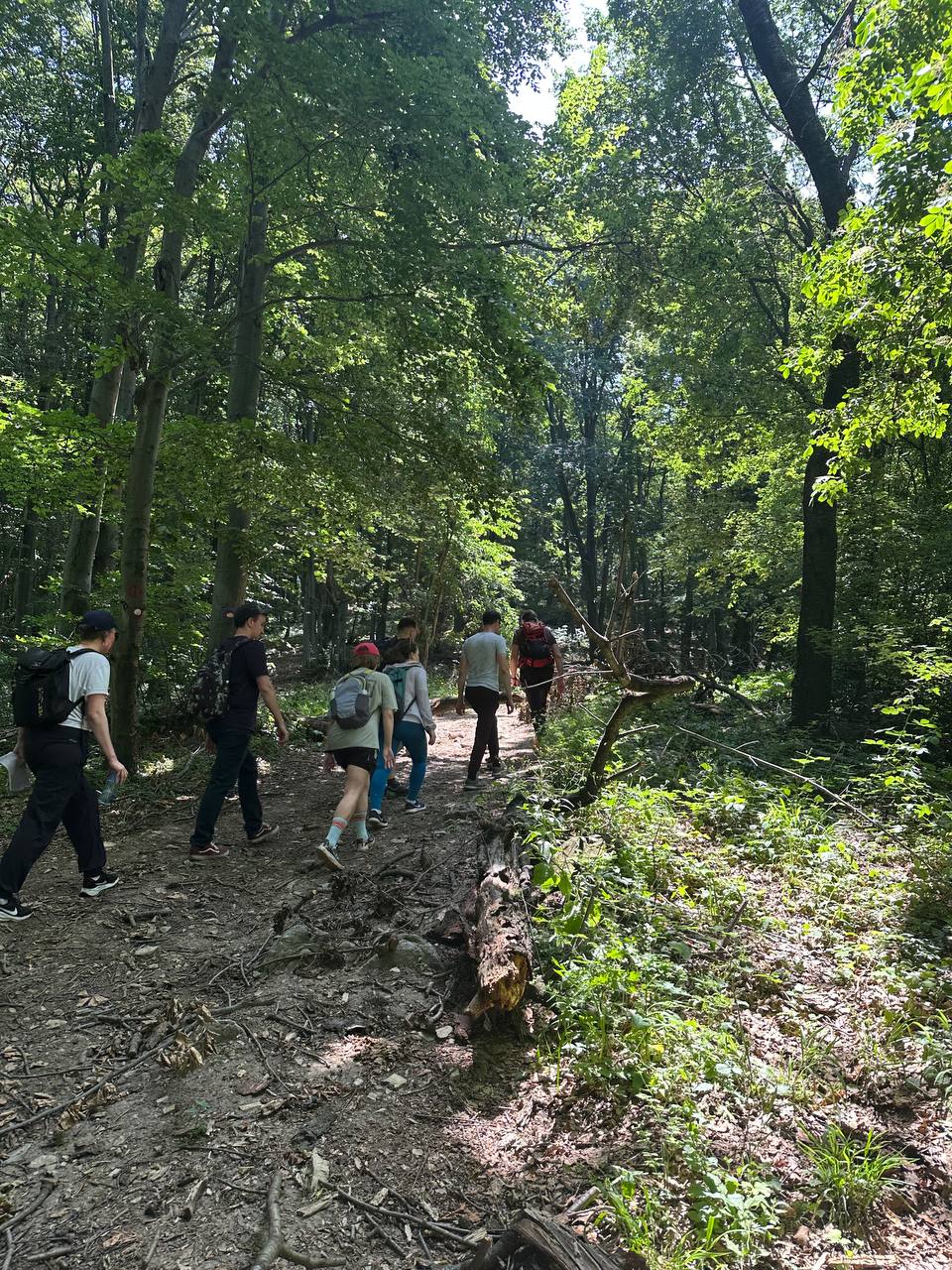 Kosmaj. Trekking with a Tour and Craft Beer