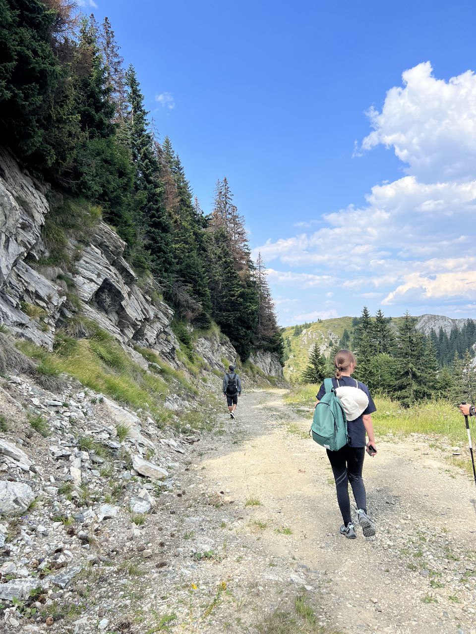 Kopaonik Summer Tour with Guest House Accommodation