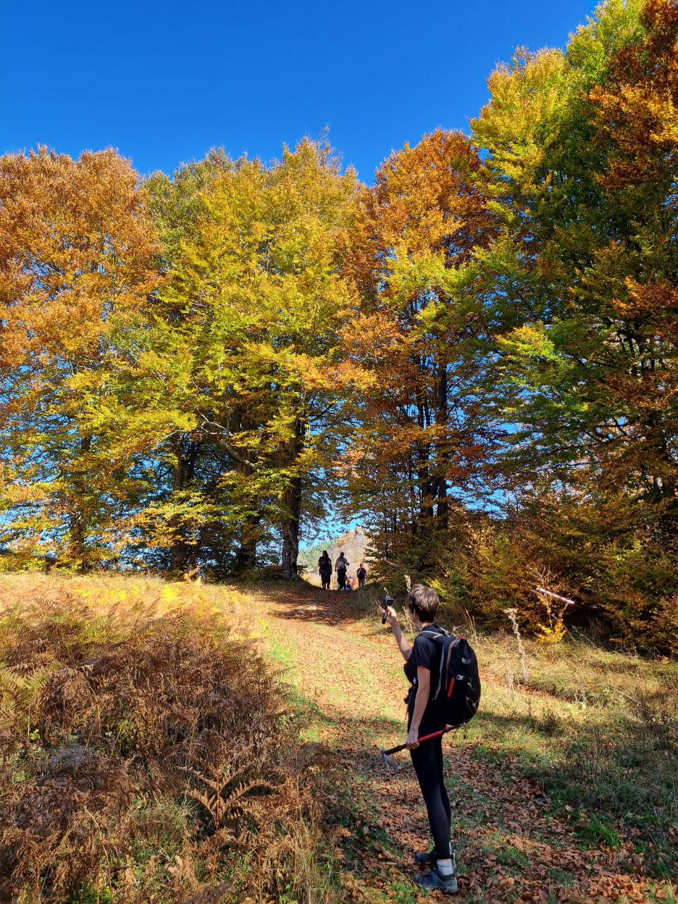 Autumn Povlen. Mid-Level Trekking