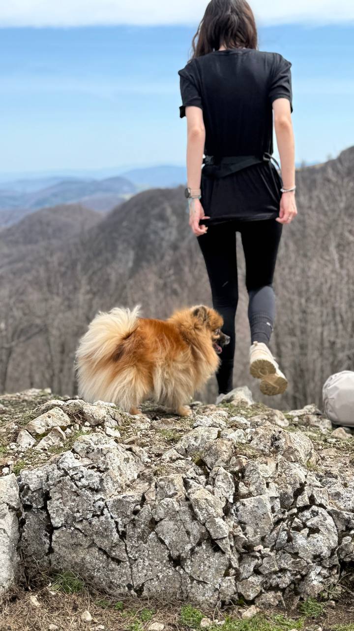 Trekking with Dogs