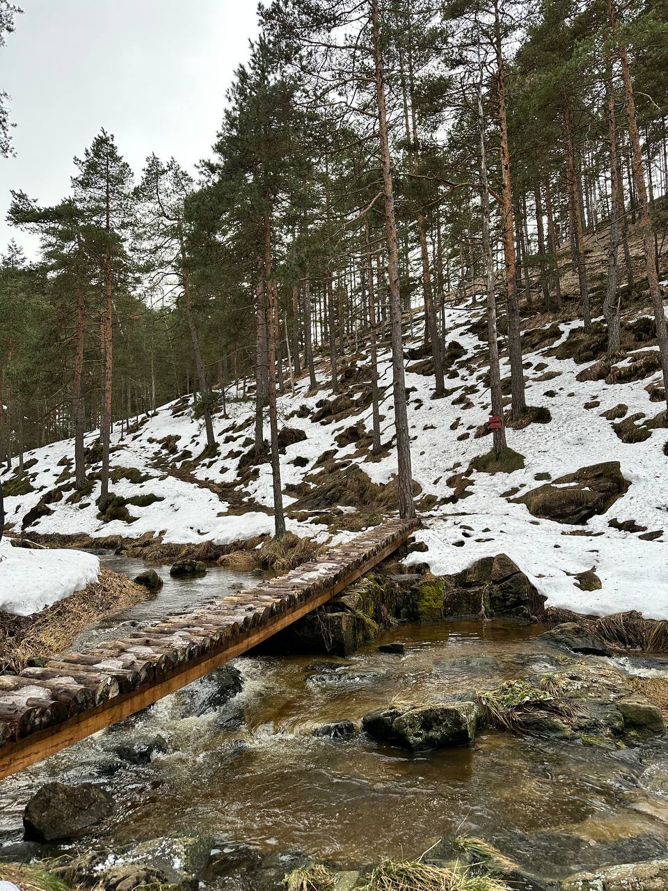 Дивчибаре, в поисках снега. Зимний лайт-трекинг