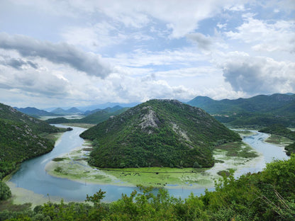 Skadar Lake in Bloom