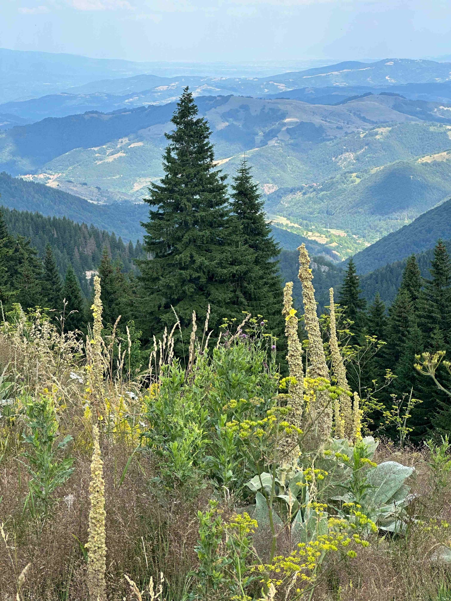 Kopaonik Summer Tour with Guest House Accommodation