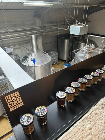 Kosmaj. Trekking with a Tour and Craft Beer