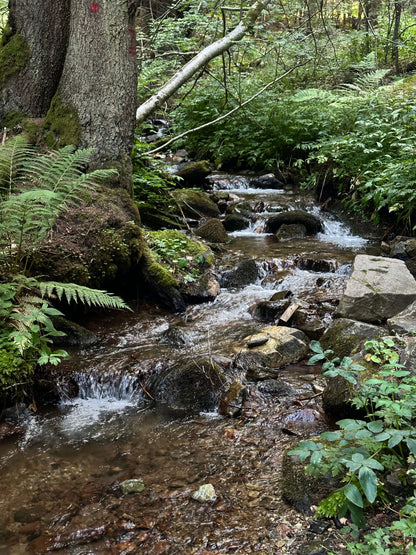 Kopaonik Summer Tour with Guest House Accommodation