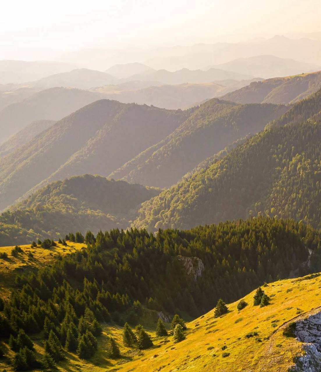 Kopaonik Summer Tour with Guest House Accommodation