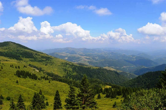 Kopaonik Summer Tour with Guest House Accommodation