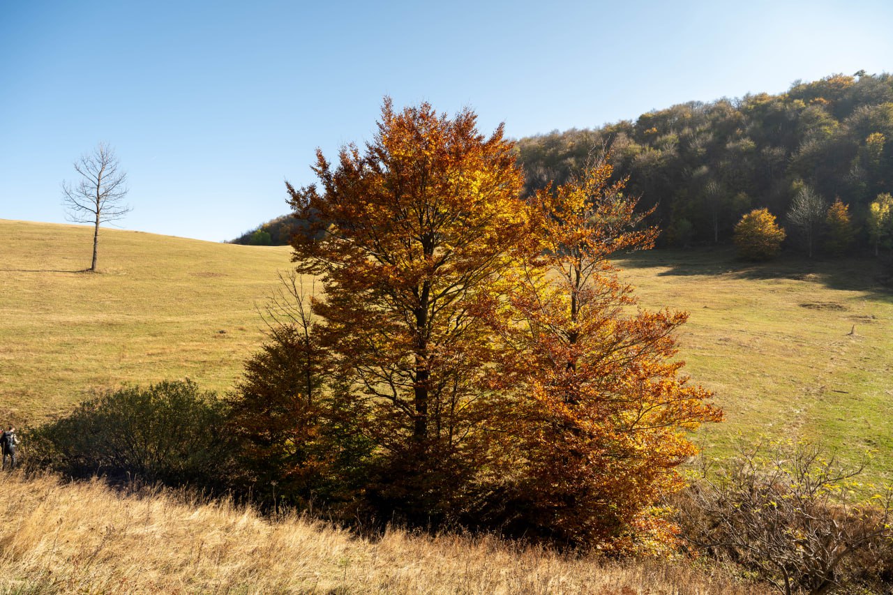 Autumn Povlen. Mid-Level Trekking