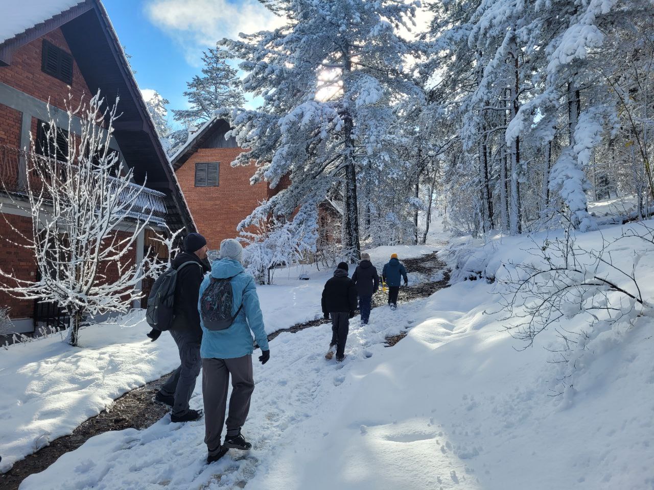 Divčibare: Searhing Snow. Winter Light Trekking