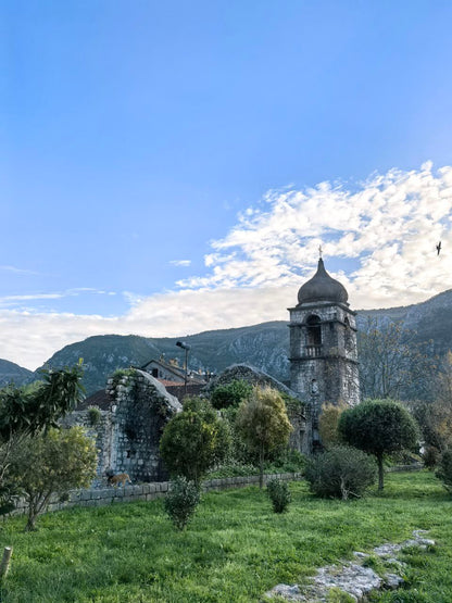 Skadar Lake in Bloom