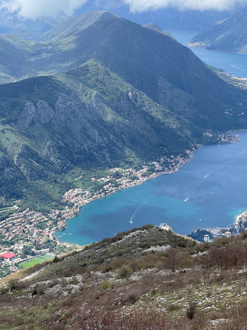 Skadar Lake in Bloom